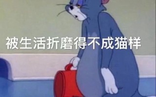 牵手沙雕文案图片，搞笑的牵手文案
