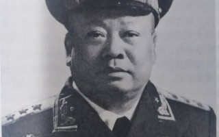 赖传珠简历，赖传株的儿子