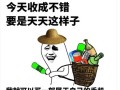 吃饭聊天脱口秀段子搞笑，吃饭聊天脱口秀段子搞笑视频