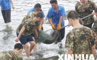 麦莎台风，麦莎台风发生在何年何月