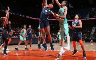 wnba 太阳队，WNBA太阳队球员名单