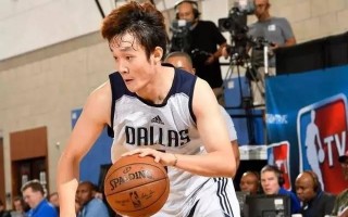nba2008有威金斯的球员名单下载，威金斯nba数据