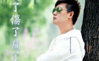 爱了给了伤了痛了，爱了给了伤了痛了原唱