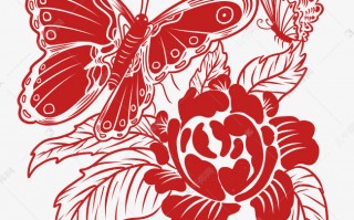 花蝴蝶WWW，花蝴蝶WWW电影