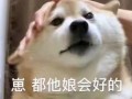 准备漂泊沙雕文案，准备漂泊沙雕文案搞笑